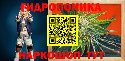 a pvp Обь