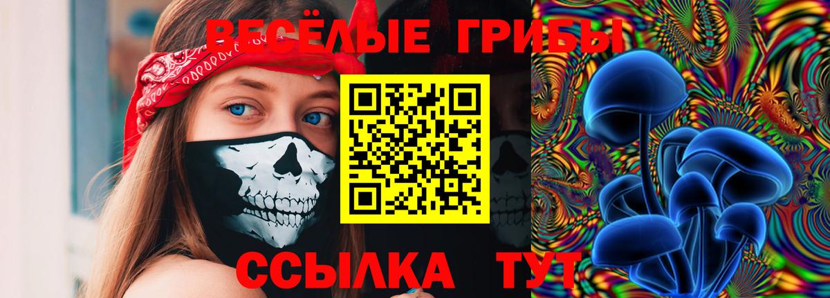 Галлюциногенные грибы Psilocybe Саянск